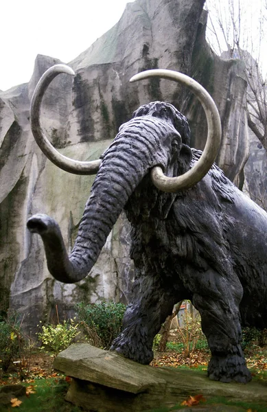 Woolly Mammoth Mammuthus Primigenius — Stock Photo, Image