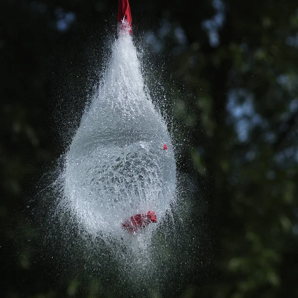 Disparo Rompiendo Globo Rojo Lleno Agua —  Fotos de Stock