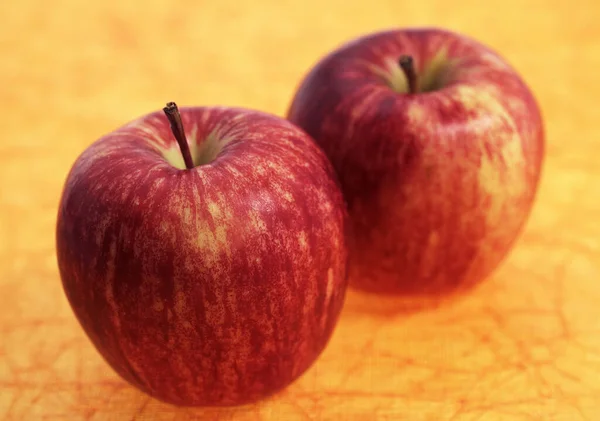 Royal Gala Apples Malus Domestica — Stock Photo, Image