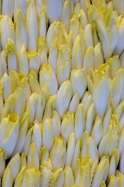 Chicory, Cichorium endivia, Sebze Pazarında.  