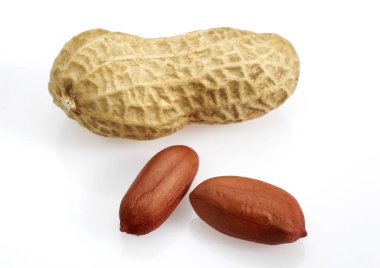 Fıstık, Arachis hipogaea Beyaz Arkaplan karşı  