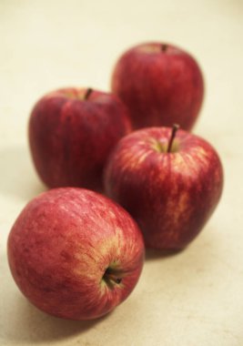 Royal Gala Elmaları, malus domestica    
