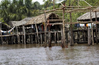 Warao 'nun Evi, Venezuela' daki Orinoco Deltası 'nda yaşayan Idianlar.  