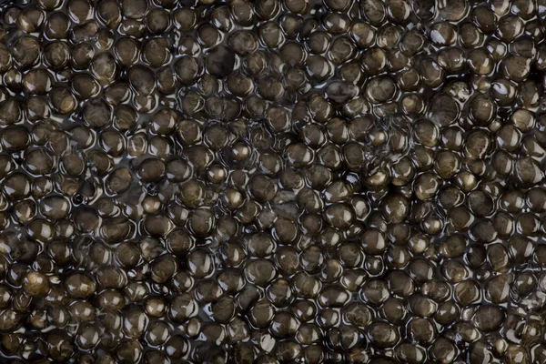 Caviar Huevos Sturgeon — Foto de Stock