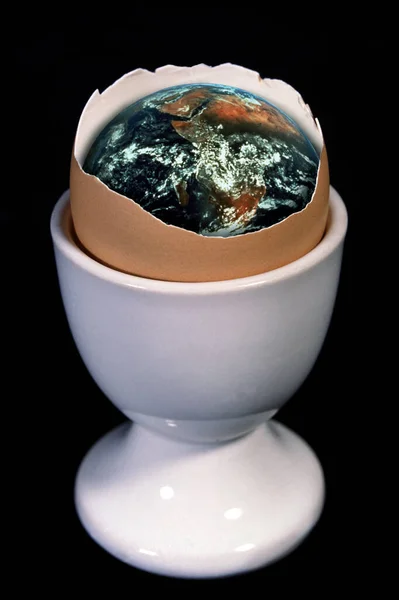 Έννοια Της Γης Ένα Κύπελλο Αυγών Σύνθετη Εικόνα — Φωτογραφία Αρχείου