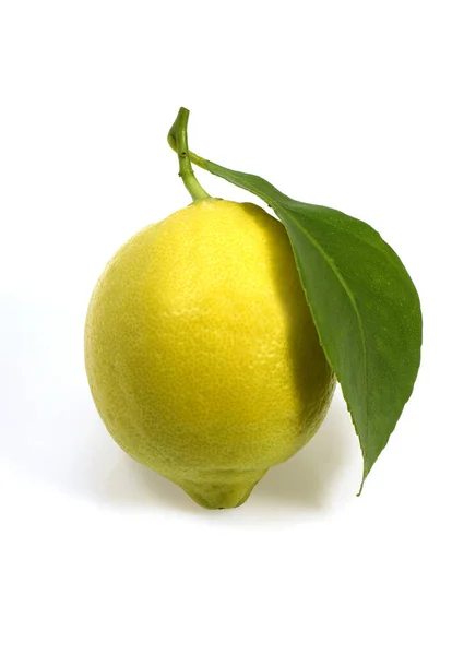 Citron Jaune Limonum Agrumes Fruits Sur Fond Blanc — Photo