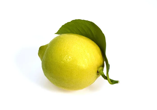 Sárga Citrom Citrus Limonum Gyümölcs Fehér Háttér Ellen — Stock Fotó