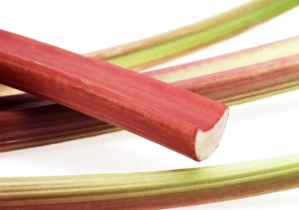 Rhubarb Rheum Rhaponticum Βάση Λευκό Φόντο — Φωτογραφία Αρχείου