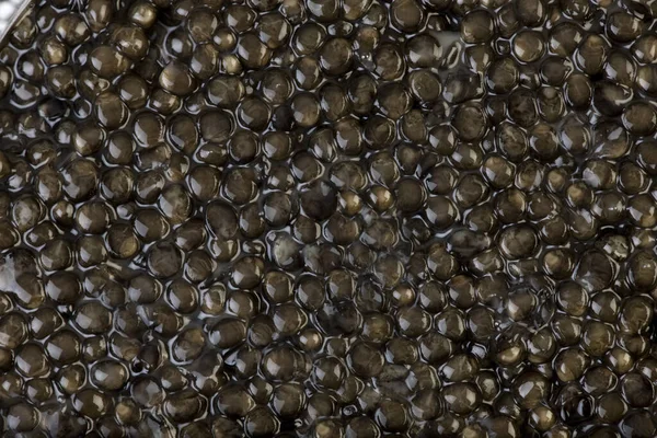 Caviar Huevo Esturión — Foto de Stock