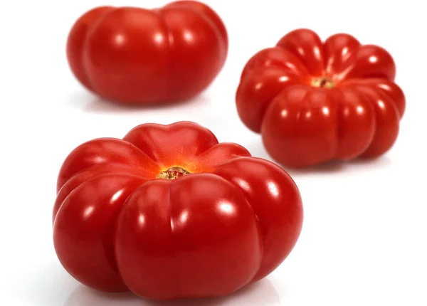 Camone Tomate Solanum Lycopersicum Contra Fondo Blanco — Foto de Stock