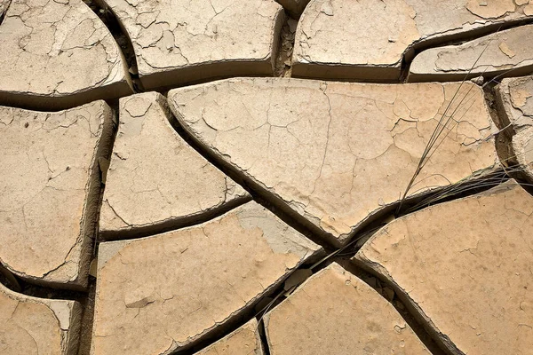 Drought Desert Walvis Bay Namibia — Stock Photo, Image