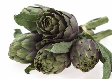 Enginar, cynara scolymus beyaz arkaplana karşı   