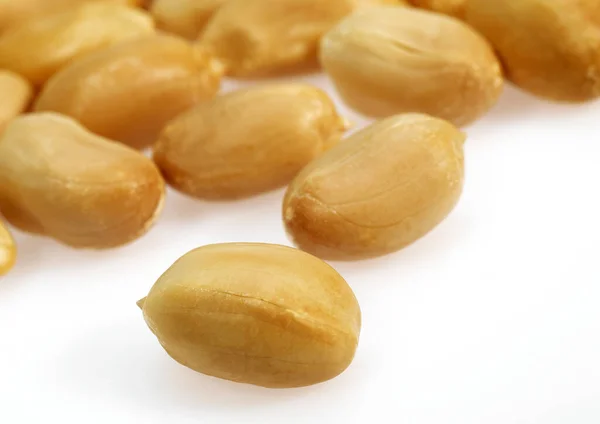 Kacang Arachis Hypogaea Terhadap Latar Belakang Putih — Stok Foto