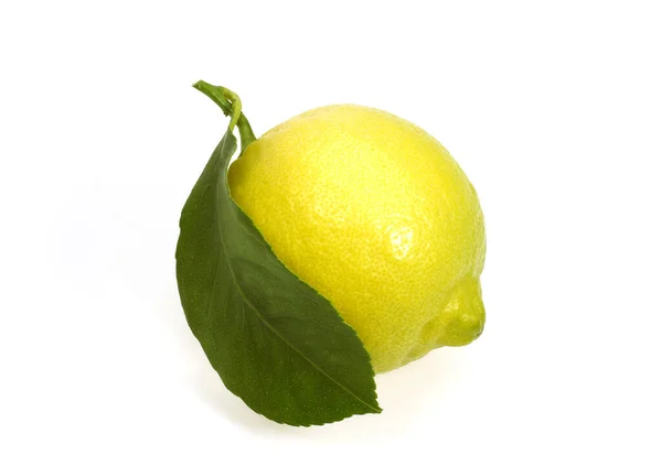 Yellow Lemon Citrus Limonum Fruit White Background — стокове фото