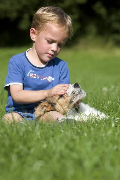 Menino Brincando Com Cabelo Arame Fox Terrier Filhote Cachorro — Fotografia de Stock