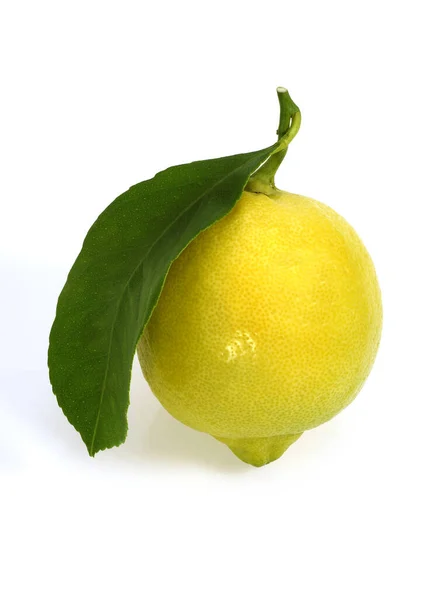 Sárga Citrom Citrus Limonum Gyümölcs Fehér Háttér Ellen — Stock Fotó