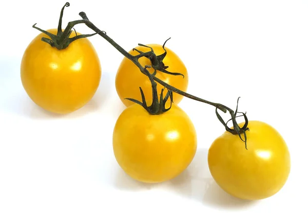 Sárga Paradicsom Solanum Lycopersicum Fehér Háttér Ellen — Stock Fotó