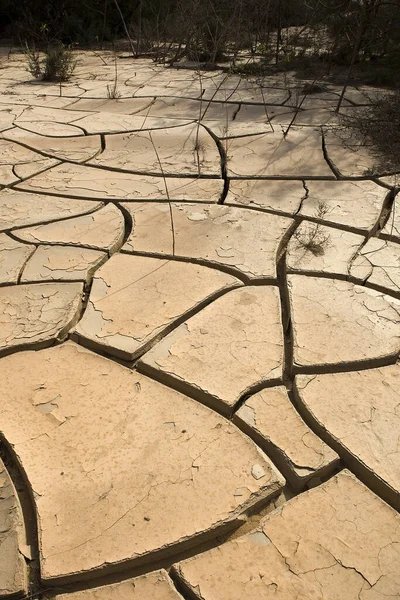 ナミビアのウォルビス湾近くの砂漠で干ばつ — ストック写真