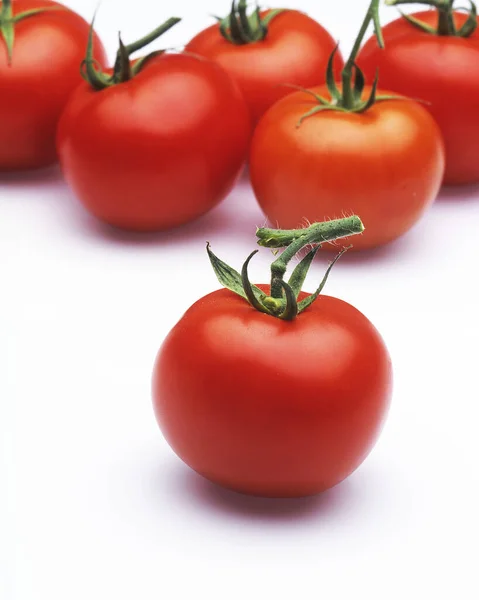 Piros Paradicsom Solanum Lycopersicum Fehér Háttér Ellen — Stock Fotó