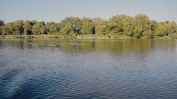 Flygfoto. Flygande över den fina sommaren River — Stockvideo