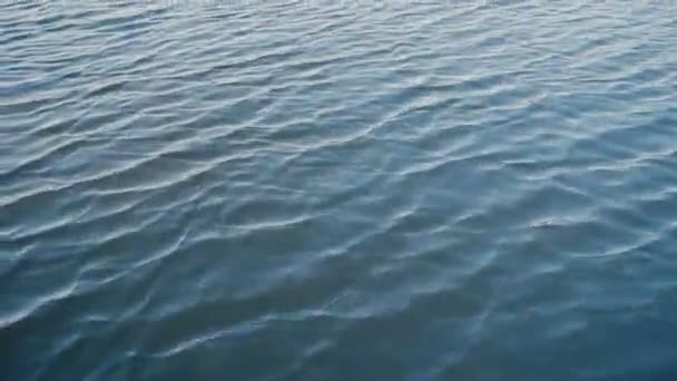 Macchina fotografica vola sopra le acque — Video Stock