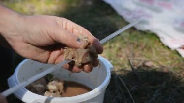 doğada bir şiş üzerinde sinirli et