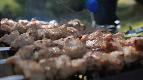 Barbecue With Delicious Grilled Meat On Grill pour marinade — Stock Video