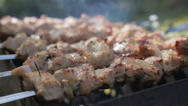 Вкусное барбекю, приготовленное на гриле с дымом — стоковое видео