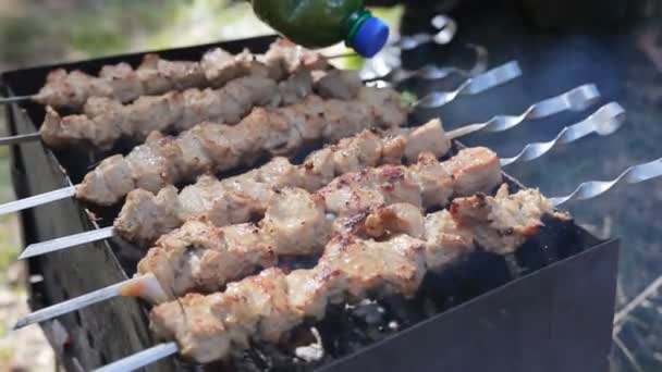 Barbecue con deliziosa carne alla griglia alla griglia versare marinata — Video Stock