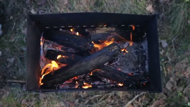 Carbón ardiendo en el brasero para barbacoa — Vídeo de stock