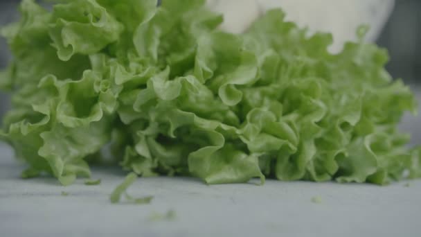 Rebanadas de ensalada de chef en una tabla de cortar — Vídeos de Stock