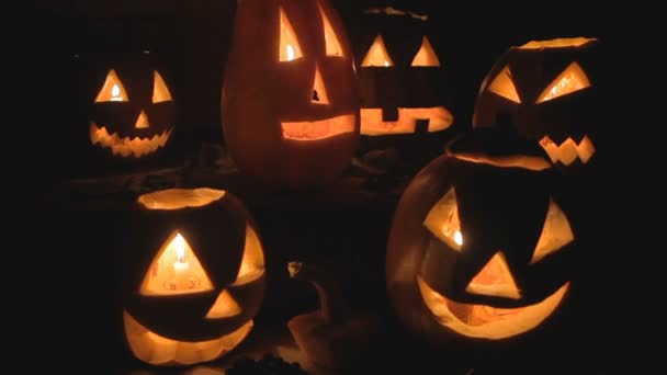 Grupp av glödande pumpkins på natten — Stockvideo