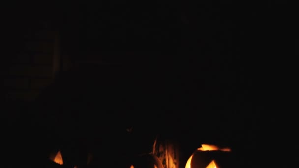 Gruppe glühender Kürbisse in der Nacht — Stockvideo