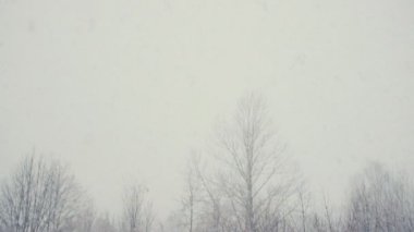 kar düşen blizzard pul