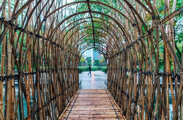 Güzel bambu yay şeklindeki geçişte Kowloon Park, Hong Kong