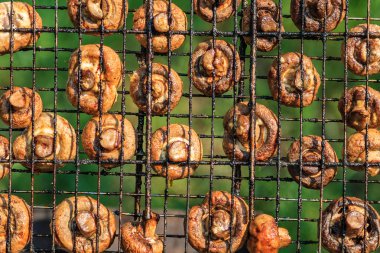 Piknik doğada bir ızgara üzerinde iştah açıcı broiled mantar