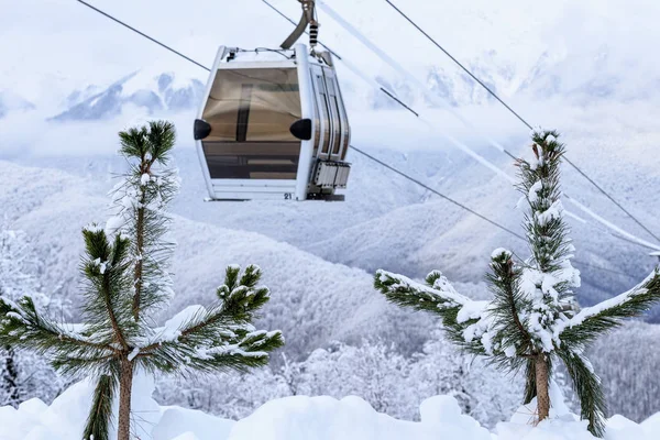 Küçük çam ağaçlarıyla kaplı kar ile teleferik Asansör kabin kış üzerinde arka plan güzel doğal yakından görmek