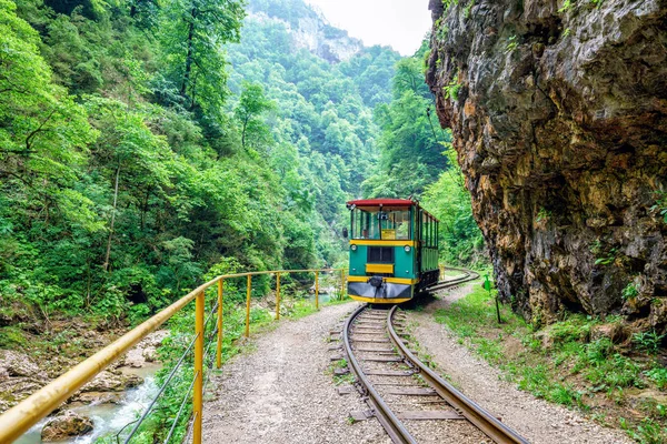 Tren Guam Nehri Kanyonu 'nda dar ölçülü demiryolu üzerinden gidiyor.