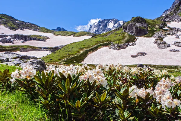 Bellissimo Paesaggio Panoramico Della Valle Del Fiume Imeretinka Sotto Cielo — Foto Stock