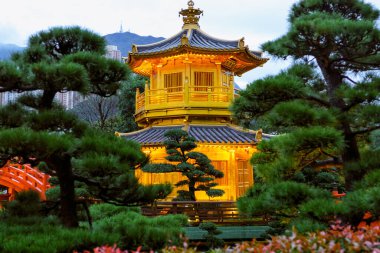Hong Kong, Çin - 22 Ocak 2016: Geleneksel olarak Diamond Hill 'deki Nan Lian Garden' daki Mutlak Mükemmellik Altın Pagoda Budist Pavyonu popüler bir şehirdir.