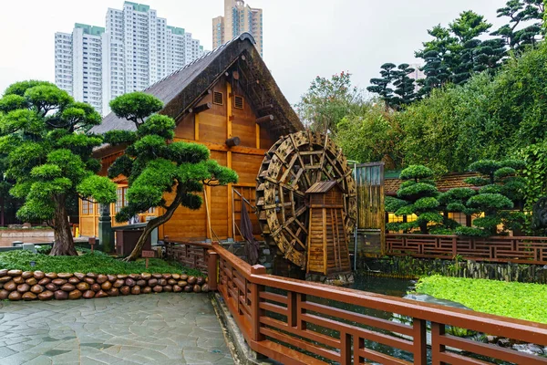 Hong Kong Chine Janvier 2016 Jardin Serein Nan Lian Garden — Photo