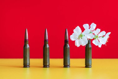 Kırmızı arkaplanda silah fişekleri var. Yakın plan. Her ihtimale karşı beyaz çiçek. Savaş ve barış kavramı, aşk ve umut kavramı. İspanyolca ve Varşova bayrak renkleri.