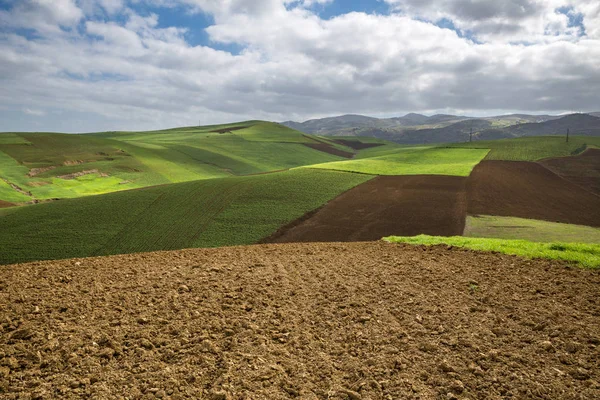 sürülmüş ve ekili alanlar'ın altında mavi bir gökyüzü bulutlu