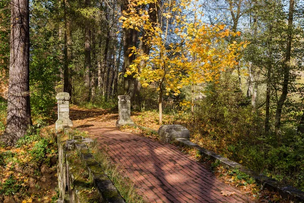 Bir sonbahar ormanında bir vadi üzerinde taş köprü