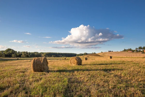 Batan güneşin, yaktı birkaç yuvarlak haystacks eğimli bir çayır mavi gökyüzü altında büyük bir bulutla yalan