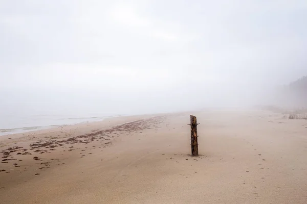 A lone piece of a wooden pillar on a foggy seashore — Stock Photo, Image