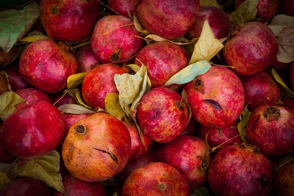 Bir grup nar. Nar yakın plan, arkaplan
