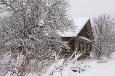 terk edilmiş ahşap ev 