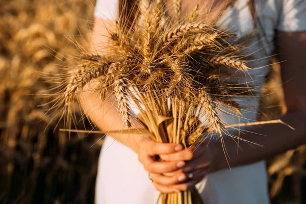 Kytice Pšeničných Hřeby Ženských Rukou Bílých Šatech Pšeničném Poli Nevěsta — Stock fotografie