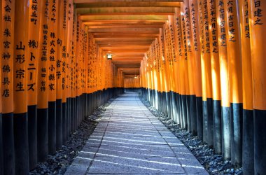 Fushimi Inari Tapınağı 'ndaki Torii kapıları, Kyoto, Japonya